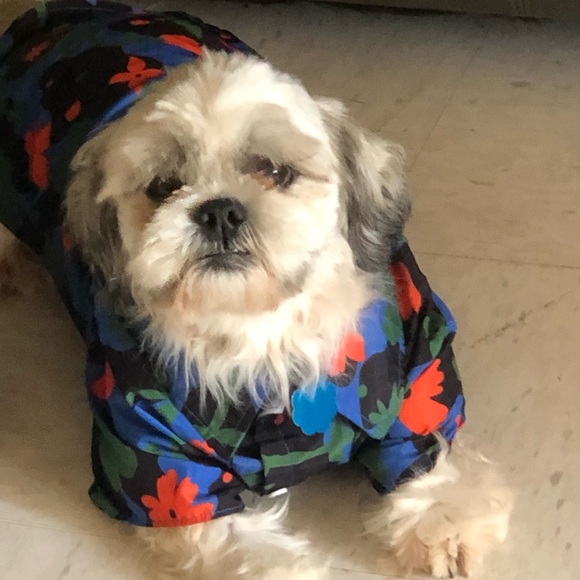 Meet your Posher, Abril ♐️🧿🪬🔮 - Picture 6 of 6